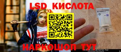 PSILOCYBIN Беслан