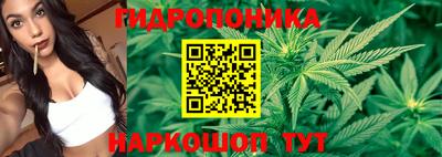 PSILOCYBIN Беслан
