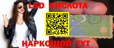 прущие крисы Бийск