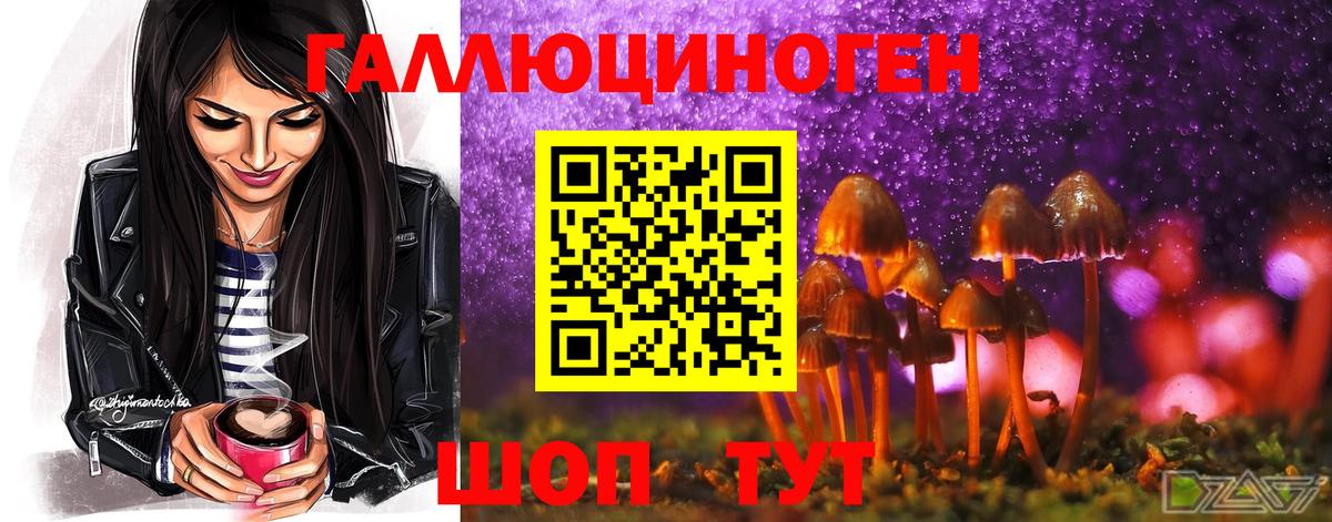 Вичуга  как найти закладки  Галлюциногенные грибы мухоморы  Вход с VPN  Галлюциногенные грибы ЛСД 